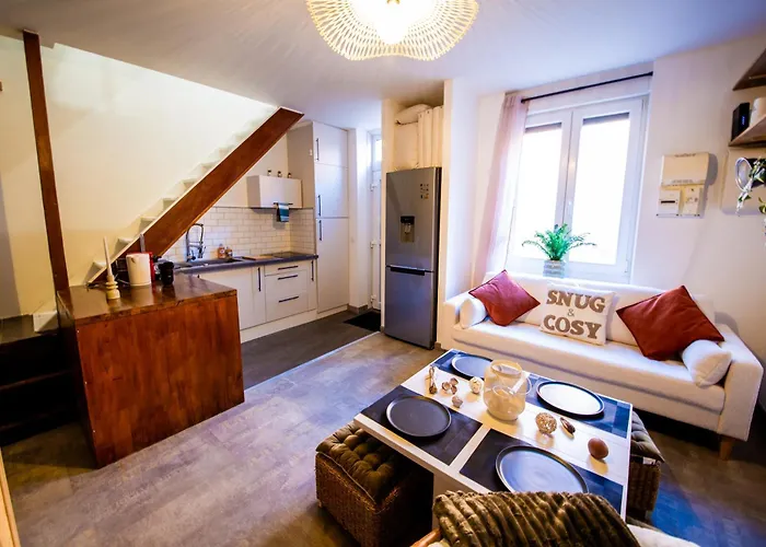 L'illois - 2 Beds - Free Parking - Vieux Lille - Wifi - Netflix Apartment